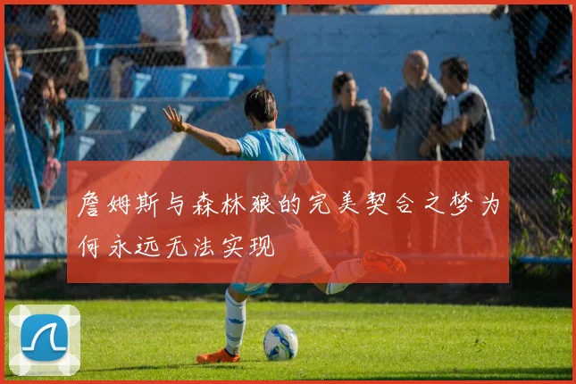 詹姆斯与森林狼的完美契合之梦为何永远无法实现