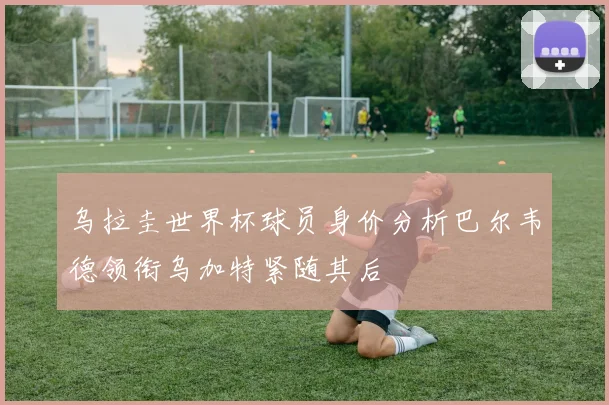乌拉圭世界杯球员身价分析巴尔韦德领衔乌加特紧随其后